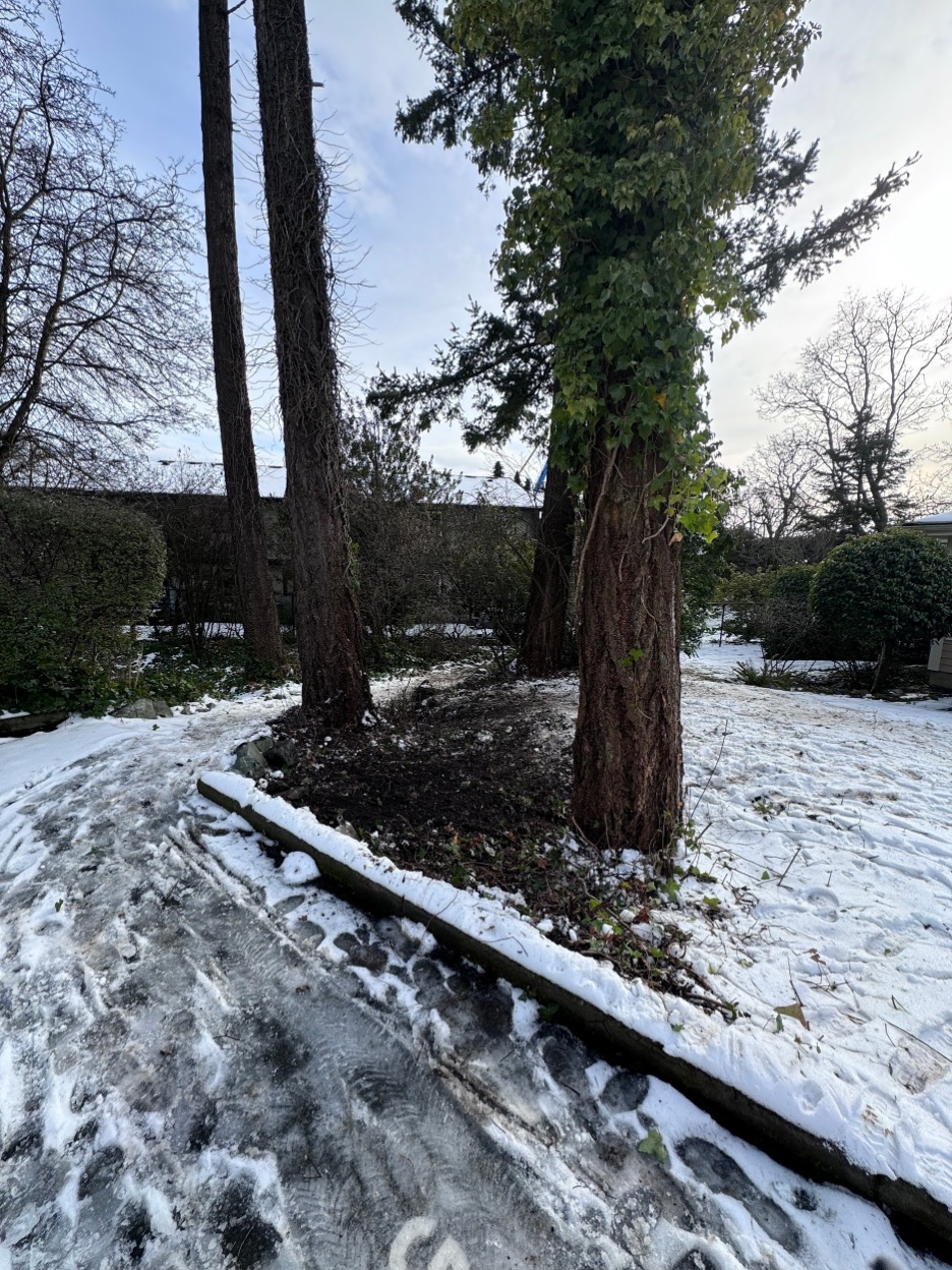 Picture 29