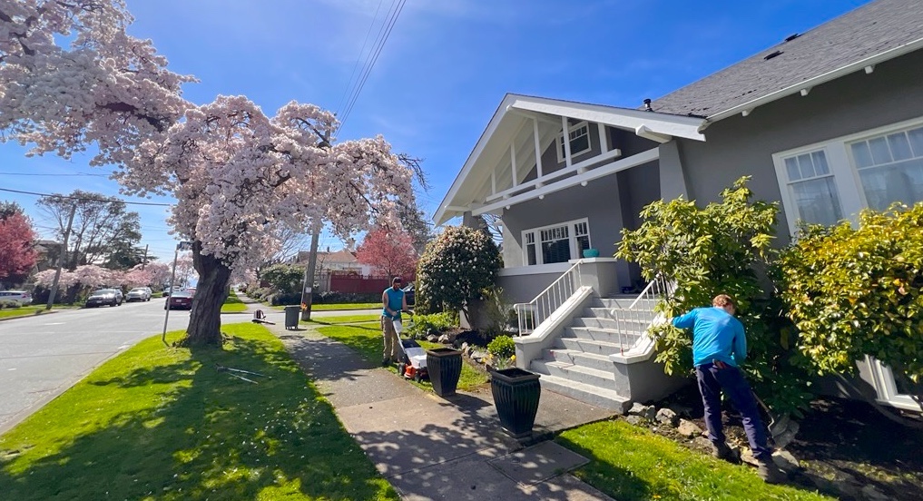 Residential Care crop